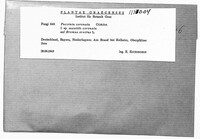 Image Associated With the Occurence